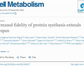 Cell Metab：提高蛋白質合成準確性可延長有機體的壽命