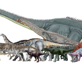 泰坦恐龍的體重是如何得出來的，還有比巴塔哥龍更重的恐龍嗎？