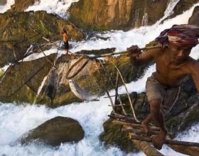 湄公河上玩命的捕魚人：在洪流中捕巨魾，一條能賣上萬元！紀錄片