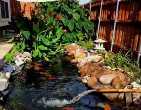 你家和最美庭院之間，只差一個魚池的距離