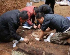 考古隊挖掘秦朝墓葬，發現罕見的骨頭湯，送往北京鑑定後興奮不已