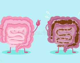 腸道是“第二大腦”，這5類人要注意，腸道功能較弱，做好這幾件事讓它保持“年輕”