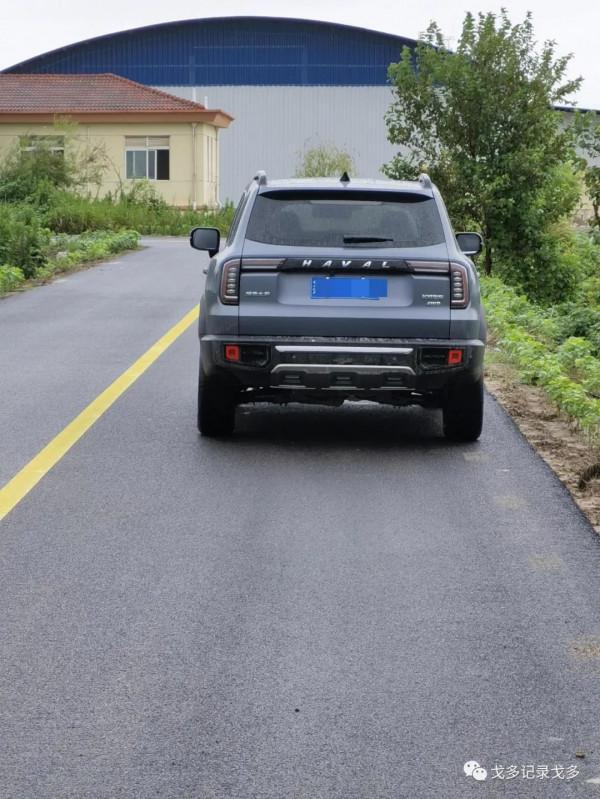 快樂遊釣遇見野猴,一路上意外多多,驚喜不斷 快樂遊釣遇見野猴,一路上意外多多,驚喜不斷