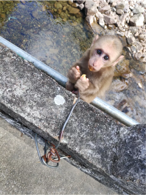 武夷山美的一萬種方式 武夷山美的一萬種方式