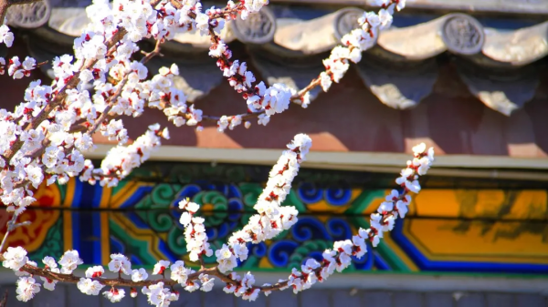 多彩的灤州古城