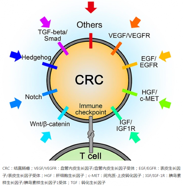 晚期結腸癌病人靶向治療有效率