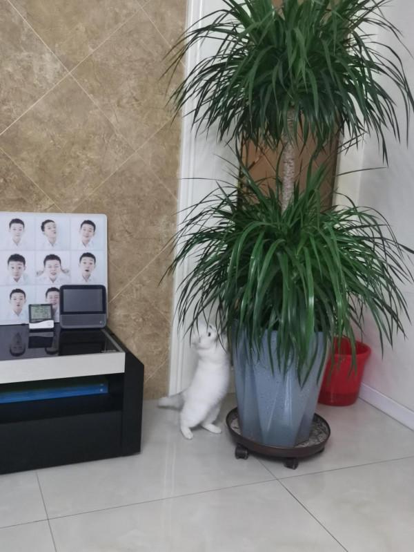 2022極簡生活 斷舍離