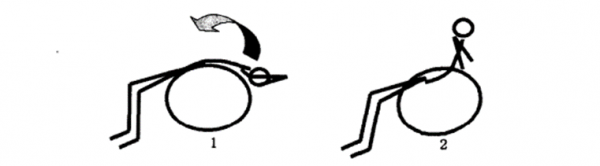 田徑運動力量訓練方法——軀幹（一）