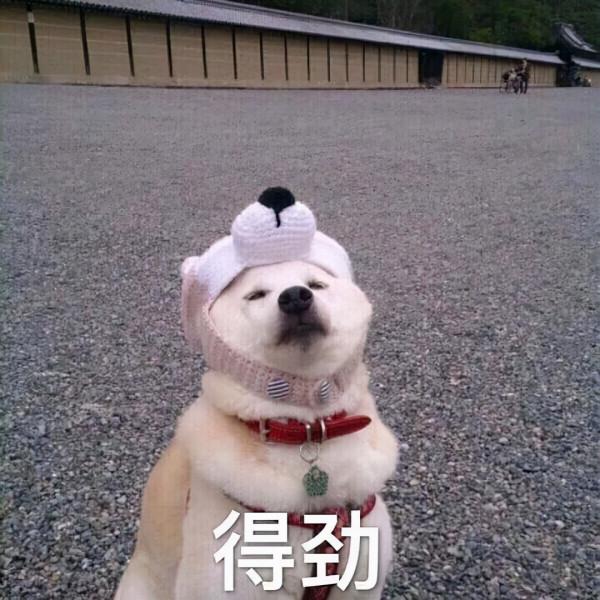 盒裝CPU因此降價？英特爾新保修政策出爐