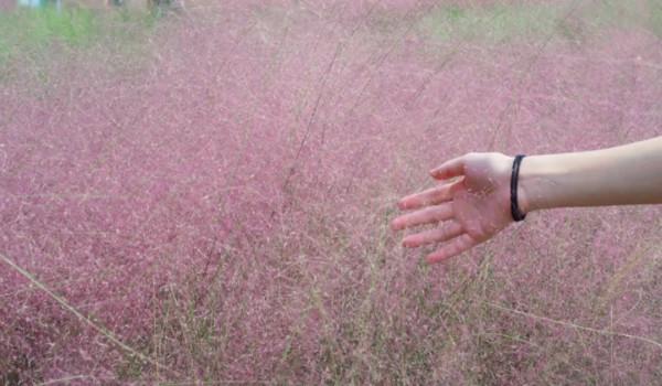 廣東絕美的秋色,都藏在了這4個小眾景點裡 廣東絕美的秋色,都藏在了這4個小眾景點裡