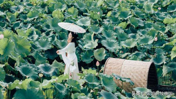 分享才華橫溢的幾位皇帝,他們之中有詩人有畫家有音樂家 分享才華橫溢的幾位皇帝,他們之中有詩人有畫家有音樂家