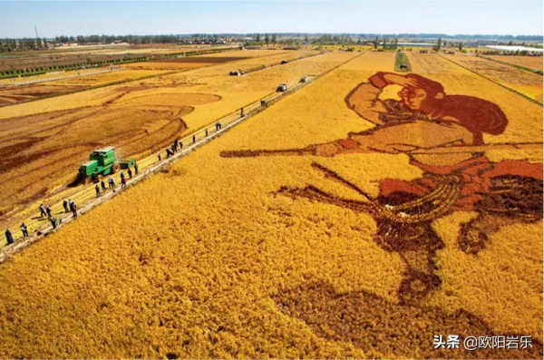 秋去秋來！中國最美的12個地方，你去過幾個？