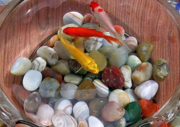 手串盤壞了別扔,說不定就價值上萬 手串盤壞了別扔,說不定就價值上萬