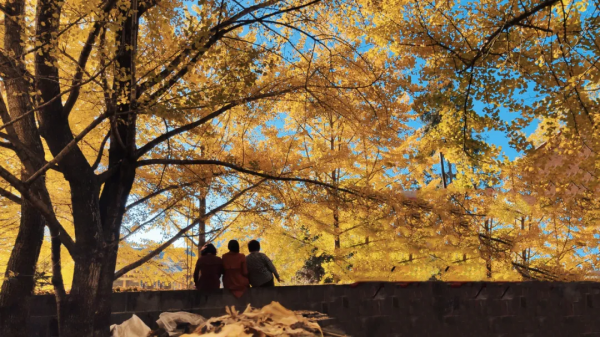 這是我今年的旅行計劃，想抄作業的一起來