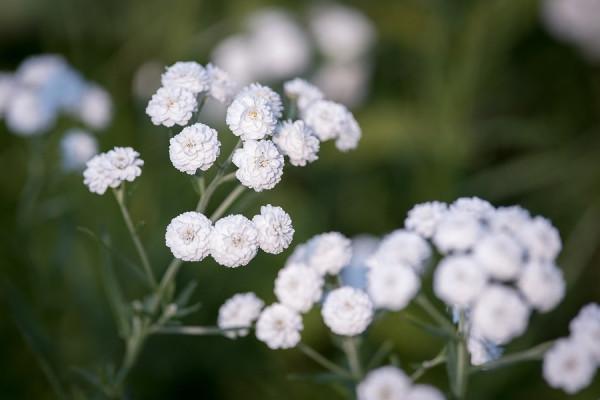 雙子座女生2022年運勢詳解，做人做事要靈活，生活會更加愜意舒適