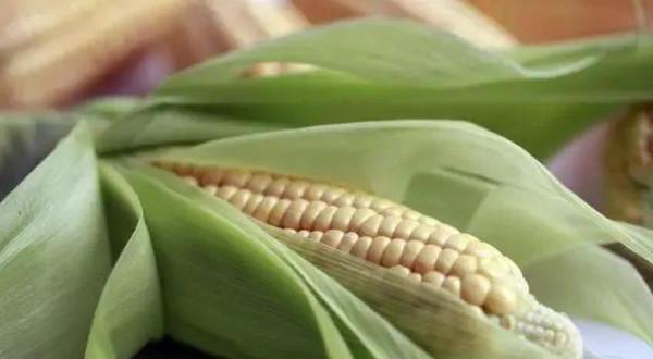 長肉“最猛”的食物，一定要管住嘴，可就是控不住，一直大快朵頤