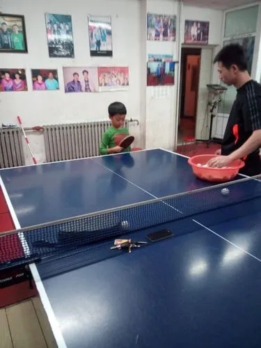 乒乓王國的人，你想學打球嗎？