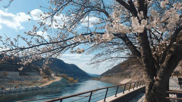 50 張新照片讓你真實瞭解韓國(精華) 50 張新照片讓你真實瞭解韓國(精華)