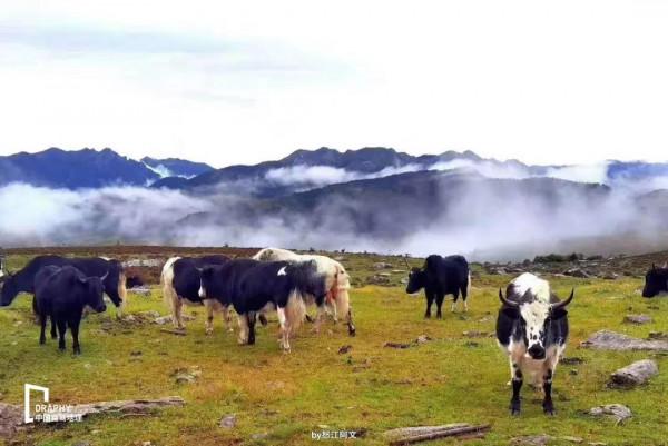 什麼？從瀘沽湖到香格里拉居然有捷徑？還少走三分之二的路程