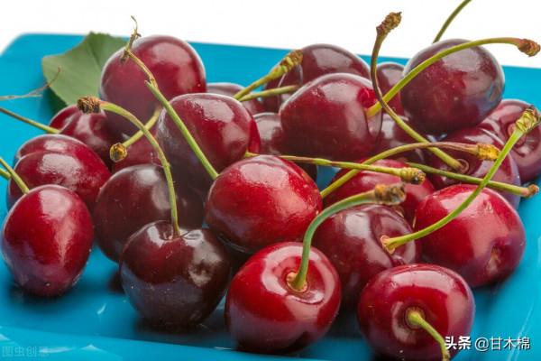 帶你回味童年吃過的46種野果子，記憶中的味道你還記得嗎？