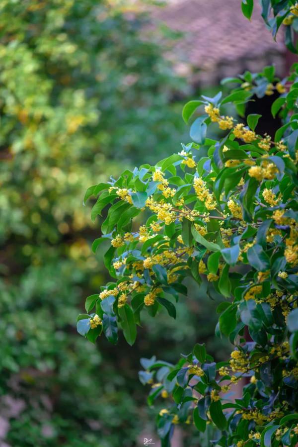 今日秋分|秋水澄澈,與天地相融 今日秋分|秋水澄澈,與天地相融