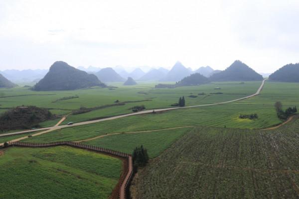 我對羅平的油菜花似乎也有&OpenCurlyDoubleQuote;七年之癢&rdquo;