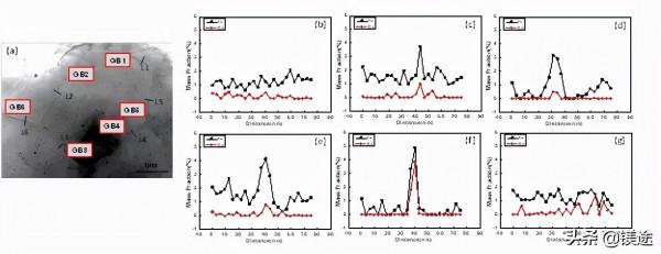 鎂科研：冷軋Mg-Zn-Gd合金靜態再結晶過程中的晶粒擇優長大和織構