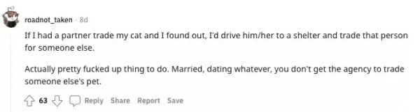 老婆養的貓好凶，我偷偷給她換隻脾氣好的，6年了她都沒發現