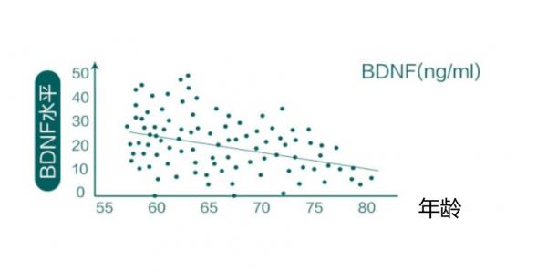 健忘、注意力渙散,原來可能是“腦霧” 健忘、注意力渙散,原來可能是“腦霧”