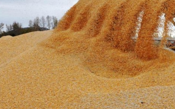 這個國寶太憋屈！7000斤玉石打造，忽必烈當寶，卻裝了300年鹹菜