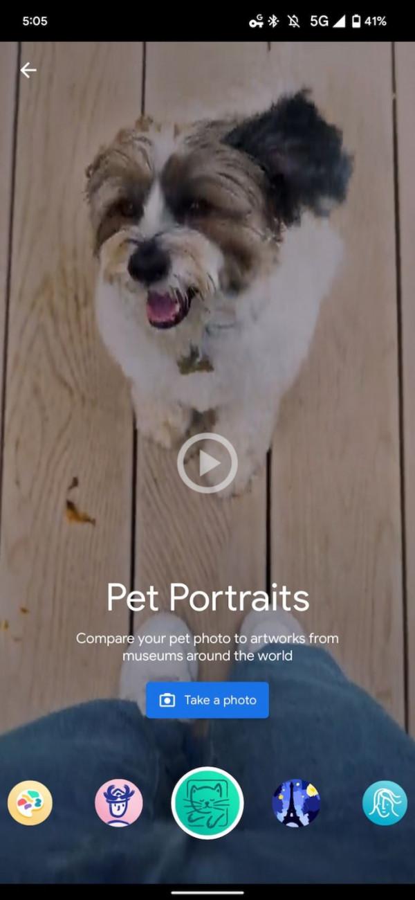 Google Arts &amp; Culture新增Pet Portraits功能：寵物照可匹配藝術品