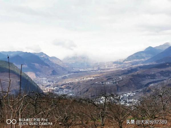 大美九襄 花勢待發