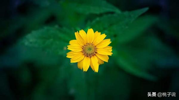 不論是否有錢，都不要把錢花在“這些方面”，因為不值得