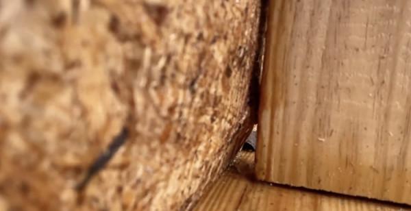 外國博主造了座房子之後灌滿水，就為體驗金魚在魚缸裡的生活