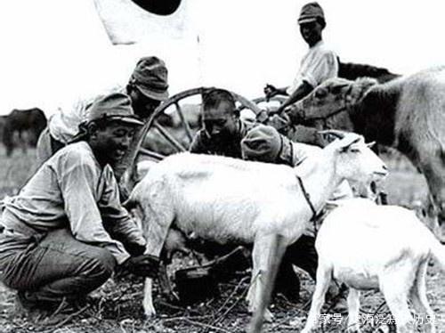 釣友們冬季垂釣的鯽魚，個體大的叫大板鯽還是大阪鯽？