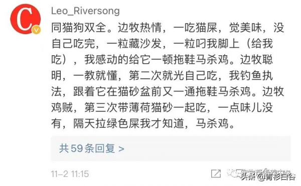 我家狗愛吃貓屎,貓知道後竟然特意到狗飯碗旁邊上廁所 我家狗愛吃貓屎,貓知道後竟然特意到狗飯碗旁邊上廁所