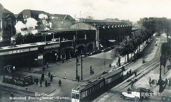 沒救了，燉了吧：二戰中的德國柏林動物園