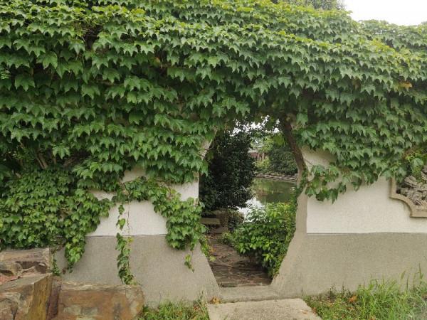 江蘇天一度假村