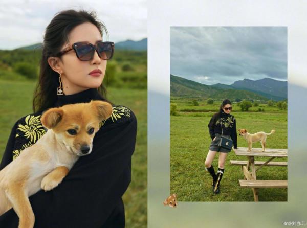 凌仙閣—劉亦菲