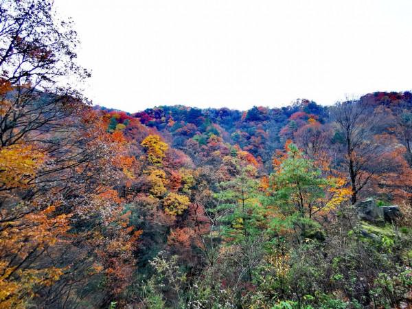 米倉山，走走停停的一天