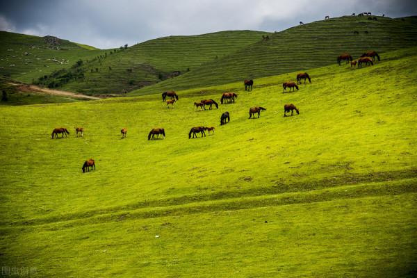 秦姓的起源與演變之一：源於嬴姓，屬於以國名為姓