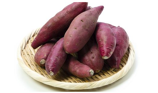 寵物吃什麼可以減少異味？這些食物榜上有名