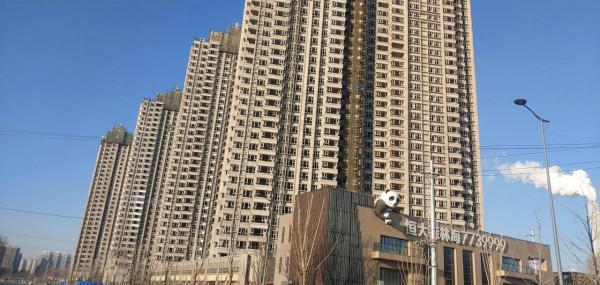 恆大森林海探班