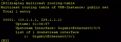 組播協議路由表