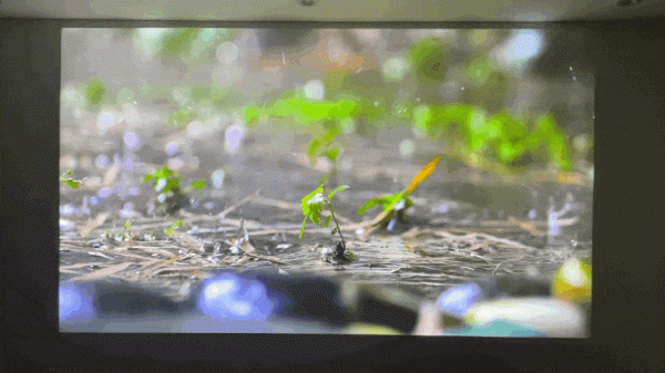 在家盡享影院體驗，大屏+高畫質+好音效—優派BK8超短焦鐳射電視