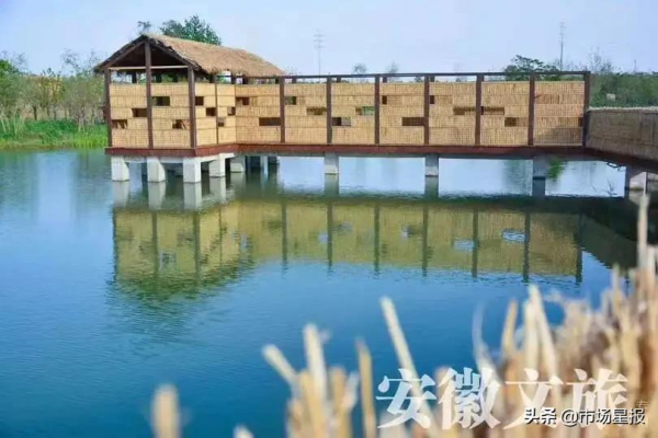 “夢幻王國”、一房書香、幸福驛站，2021，你來安徽“打卡”了嗎？