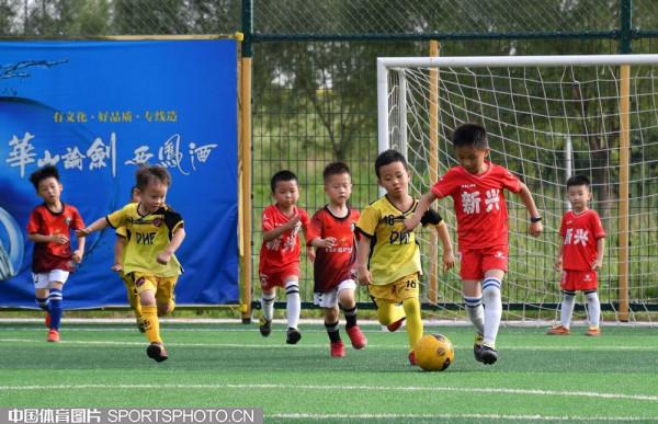 將榮譽化為強大動力 推動體育事業取得新突破 將榮譽化為強大動力 推動體育事業取得新突破