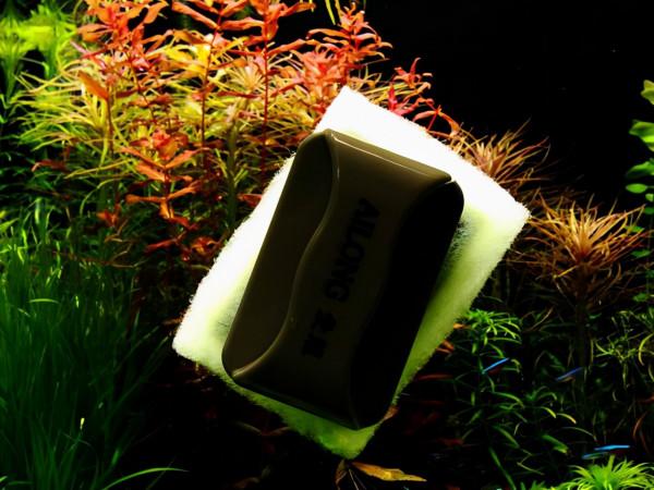 怎樣才能養出一缸讓人垂涎的水草