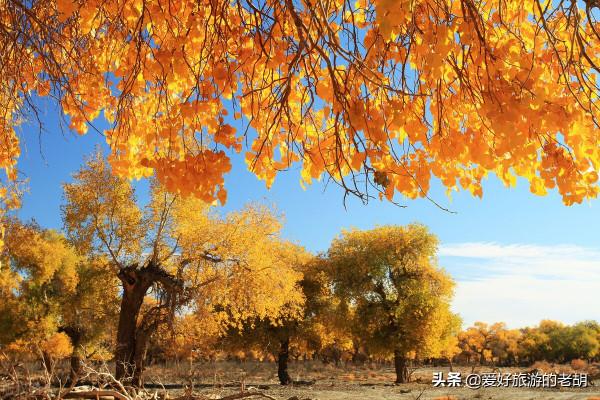 秋天旅遊一定要去的3個景區,每個都美得讓人沉醉,可惜時間太短 秋天旅遊一定要去的3個景區,每個都美得讓人沉醉,可惜時間太短