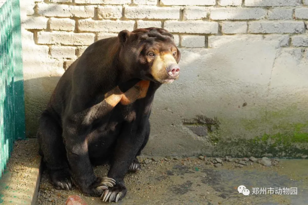 河南旅遊：熊熊界的“日月組合”，原來是它們
